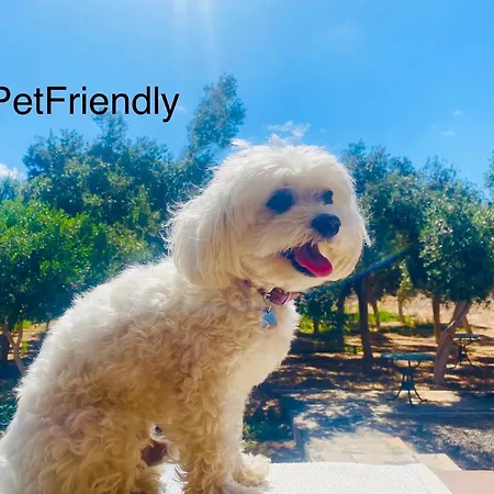 Appartement Sequero #pet Friendly